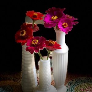 Meet your Posher, Carol